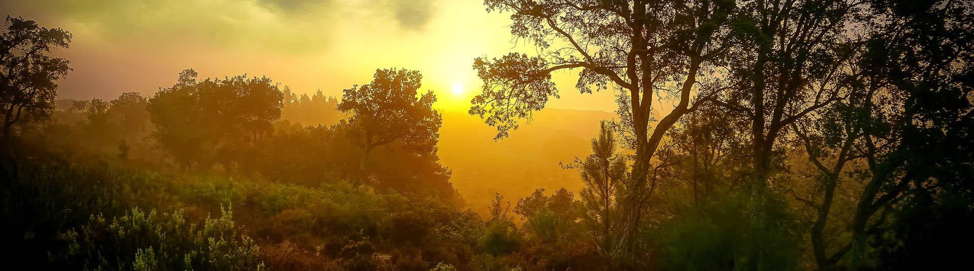 Feriendialyse Riba de Ave Diaverum